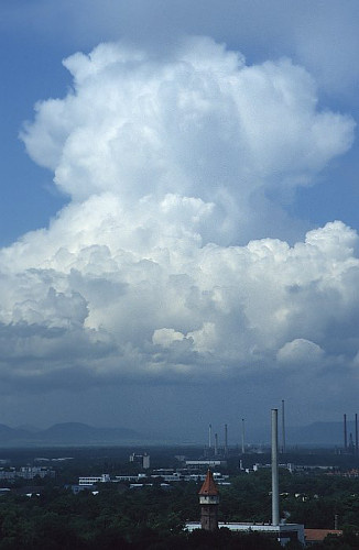 Bij cumulonimbus calvus begint de top stilaan diffuser te worden door ijsvorming.