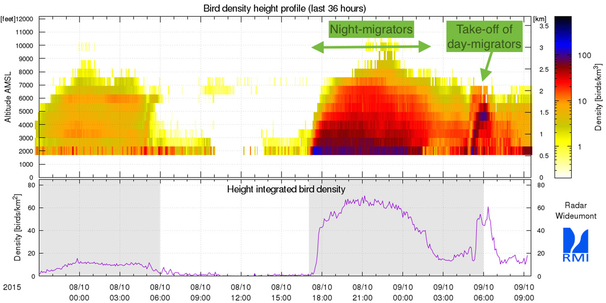 Figuur 1: De vogeldensiteit (bovenaan) en het totaal aantal vogels (onderaan) gemeten met de radar van Wideumont voor de periode 07/10/2015 van 23 uur lokale tijd tot 09/10/2015 11u.30 lokale tijd. Op de figuren ziet men dat er zowel nachttrek als dagtrek is. Vogels wachten de ideale omstandigheden af om hun reis verder te zetten en zoeken dan de ideale trekhoogte op.