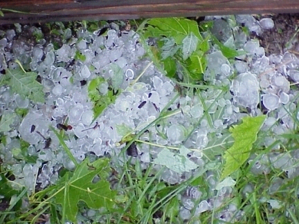 Korrelhagel is transparanter dan korrelsneeuw, maar minder doorschijnend dan ijsregen.