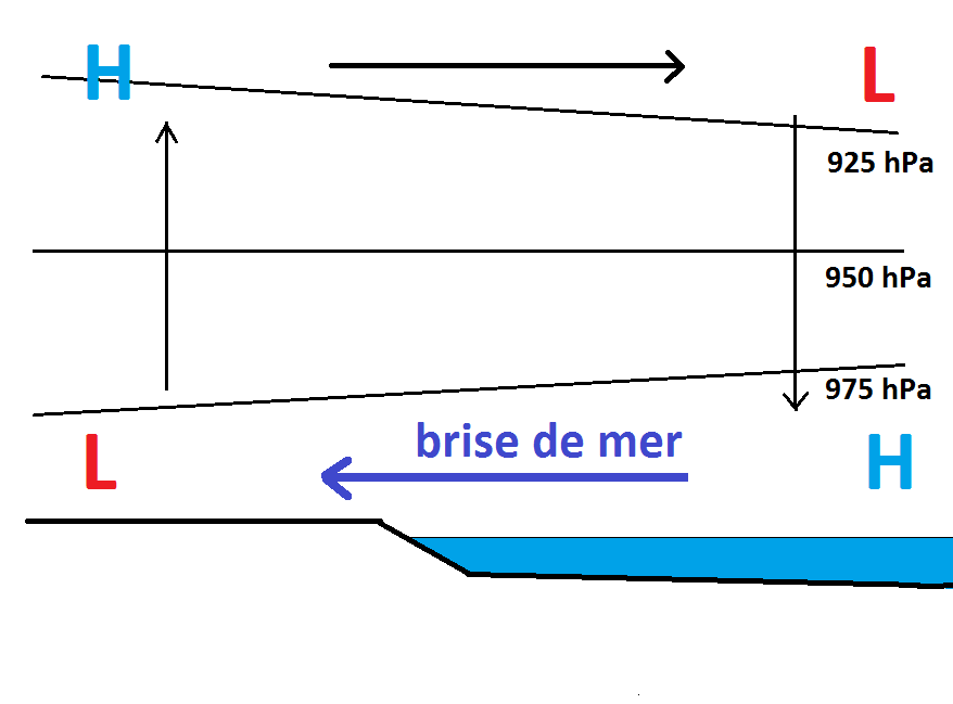 Une brise de mer est créée par le réchauffement de la colonne d’air au-dessus des terres lorsqu